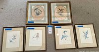 All six framed prints arranged, showing subjects and frames