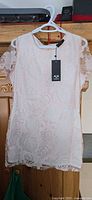Front view of Armani Exchange blush lace dress with tag attached
