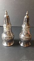 Full view of both silver-plated sugar shakers