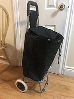 Full view of trolley showing bag, frame and wheels