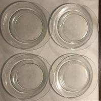 Overhead view of four clear glass plates showing overall condition