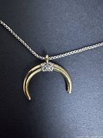 Close-up of crescent horn pendant on chain