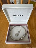 Bracelet with two charms displayed in Pandora box