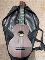 Ukulele inside opened black gig bag showing body and strings