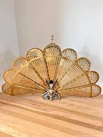 Screen fully opened showing fan shape and overall condition