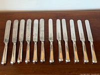 Full set of 12 knives laid out on table