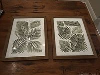 Two framed fern prints on tabletop showing artwork and frames