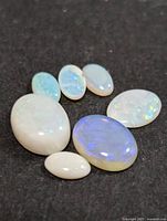 Group of eight loose opal cabochons on dark background