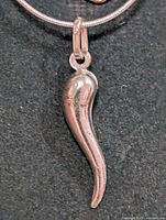 Front view of silver horn pendant on snake chain