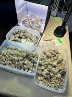 Overview of three plastic bins and one tray of stones