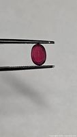 Side profile of oval ruby held in tweezers
