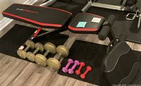 Bench and all visible dumbbells arranged on floor