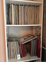 Overall view showing two shelves filled with vinyl records and binders