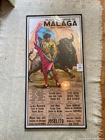 Full view of framed poster on rug