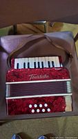 Top view of accordion showing keyboard, body color, brand name and bass buttons