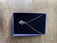 Necklace in box showing full chain and pendant