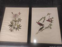 Both framed bird lithograph prints side by side showing overall appearance