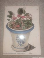 Close-up of lithograph showing potted plant image and signature