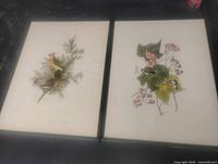 Both framed bird lithographs side by side showing artwork and frames