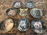 All eight big cat cub plates on tabletop