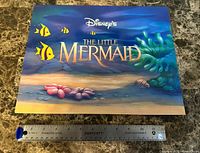 Front cover of portfolio with ruler for scale