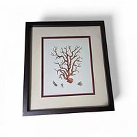 Front view of framed coral illustration