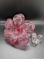 Top view showing six pink sparkle petals