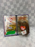 Open booklet showing sealed Steg plush