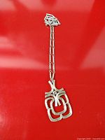 Full view of necklace laid out showing pendant and chain