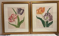 Both framed Rory McEwen tulip prints side by side