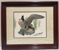 Framed Richard Sloan Canada Goose print full view