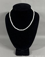 Necklace on display bust