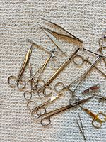 Overview of assorted hemostats, scissors and tweezers spread on carpet