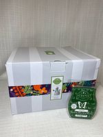 Closed Scentsy box with green holiday wax bar in front