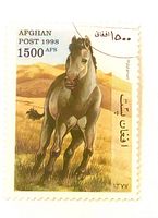 Front view of Afghan Post 1998 1500 afs horse stamp