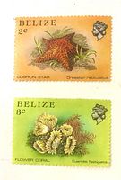 Both Belize 3c marine life stamps