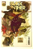 Front cover showing Black Panther #12 variant comic