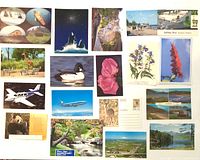Group of assorted postcards showing wildlife, flowers, aircraft and scenic views