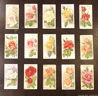 Fronts of fifteen Wills Roses cigarette cards laid out