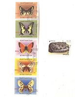 Full view of six Kyrgyzstan pictorial stamps, five butterflies and one cat