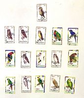 Overhead view of sixteen Rwanda bird stamps arranged in rows