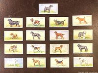 Front view of 17 dog breed cards spread out