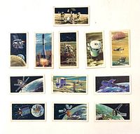 Fronts of all twelve cards arranged face up