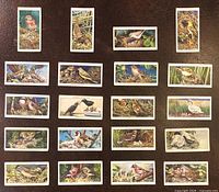 Front view of twenty cards arranged on dark surface