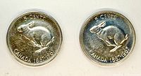 Reverse of both 1967 five-cent coins showing Arctic Hare design and denomination