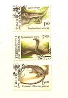 Three vertically aligned cancelled 1993 Uzbekistan reptile stamps