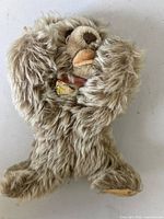 Front view of Steiff Floppy Zotty bear lying flat