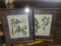 Both framed botanical prints standing side by side