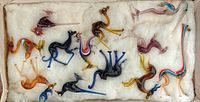 Overall view of box with sixteen miniature glass animals on cotton padding