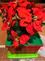 Full view of red artificial poinsettia on storage bin